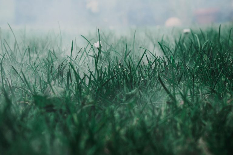 mowing lawn