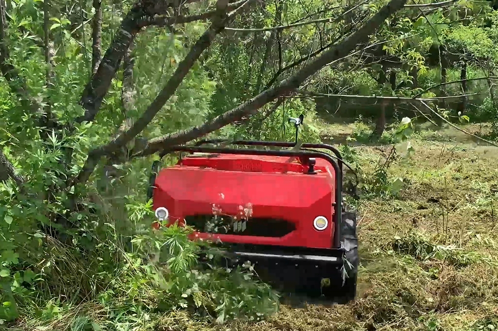 4 stroke lawn mower