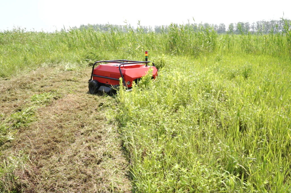 electric lawn mower