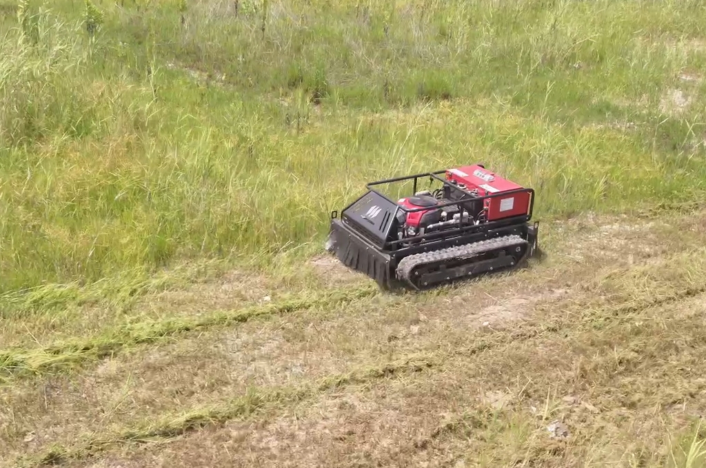 electric lawn mower