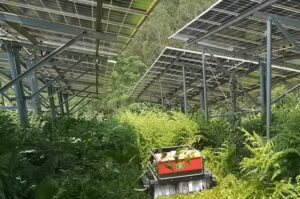 remote control lawn mower in PV power plants