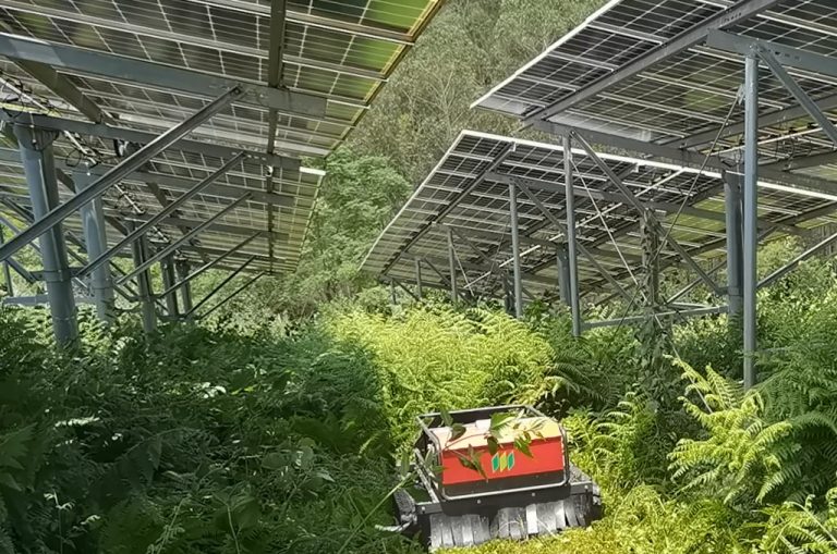 remote control lawn mower in PV power plants