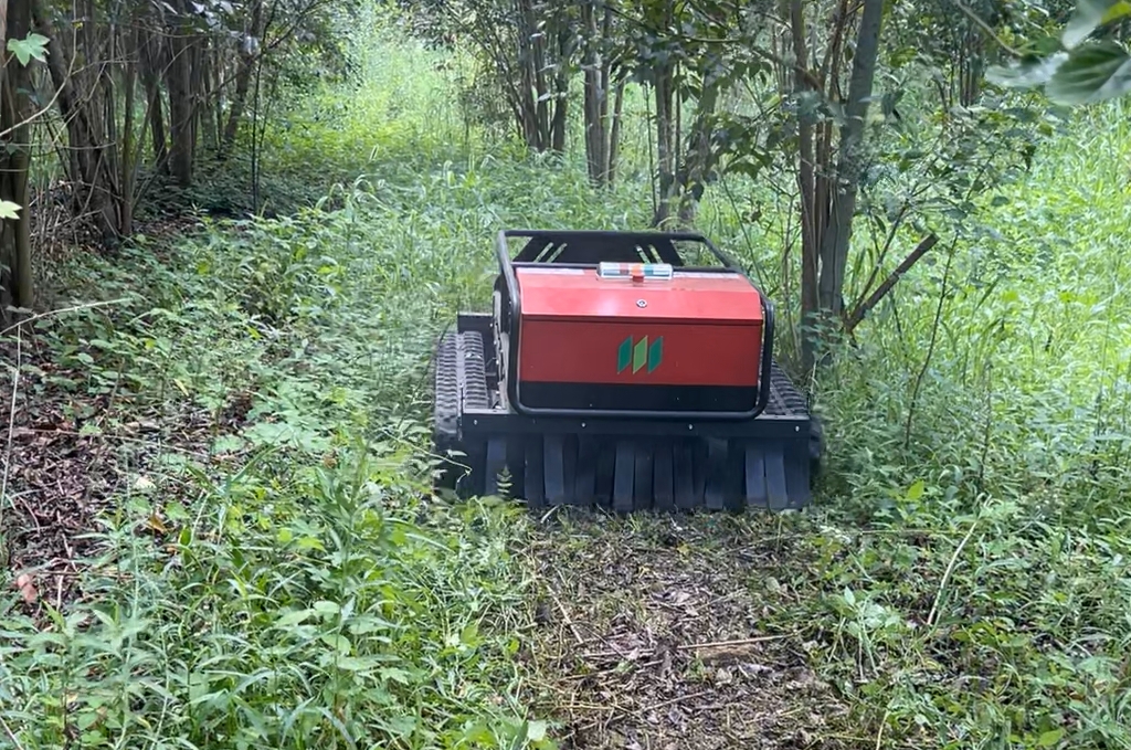 robotic lawn mower