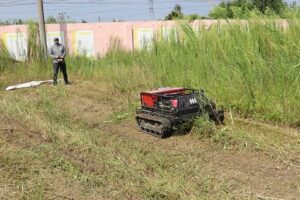 lawn mower