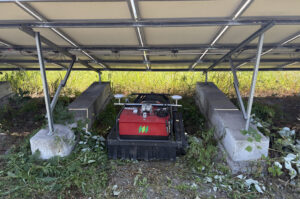remote controlled lawn mower