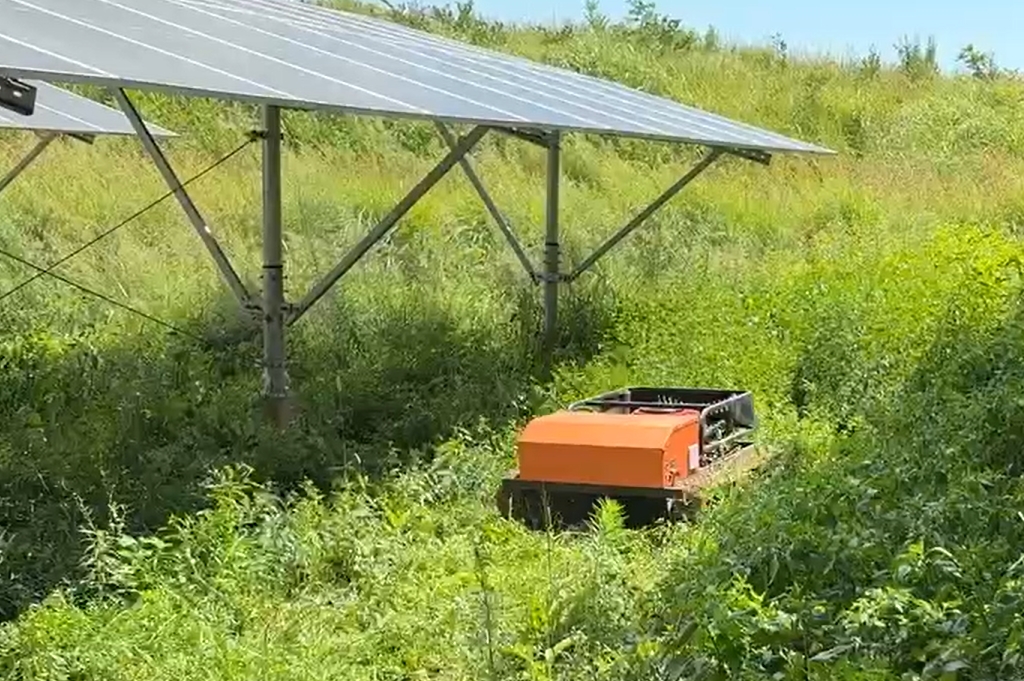 solar farm weeding robot
