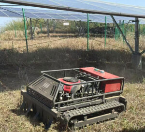 lawn-mower-self-propelled