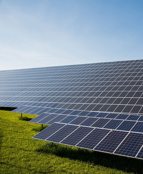 solar farm mowing