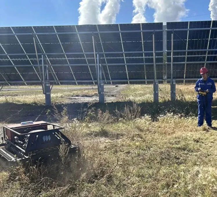 robotic lawn mower action