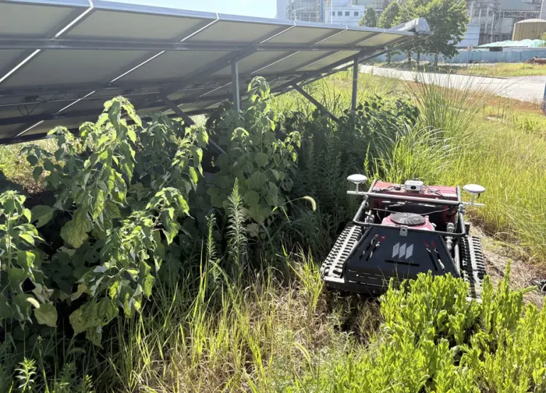 remote grass cutter