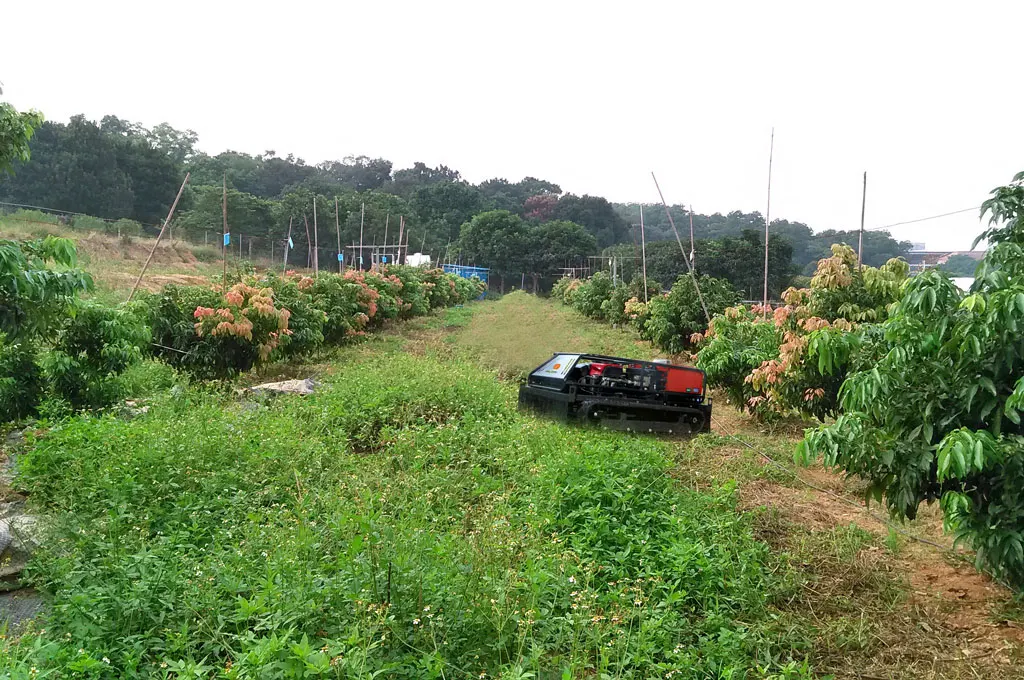 the-best-time-to-buy-a-lawn-mower