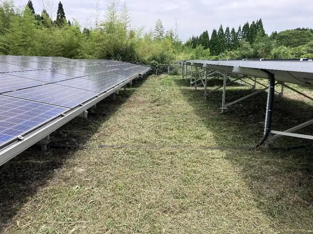 solar farm mower